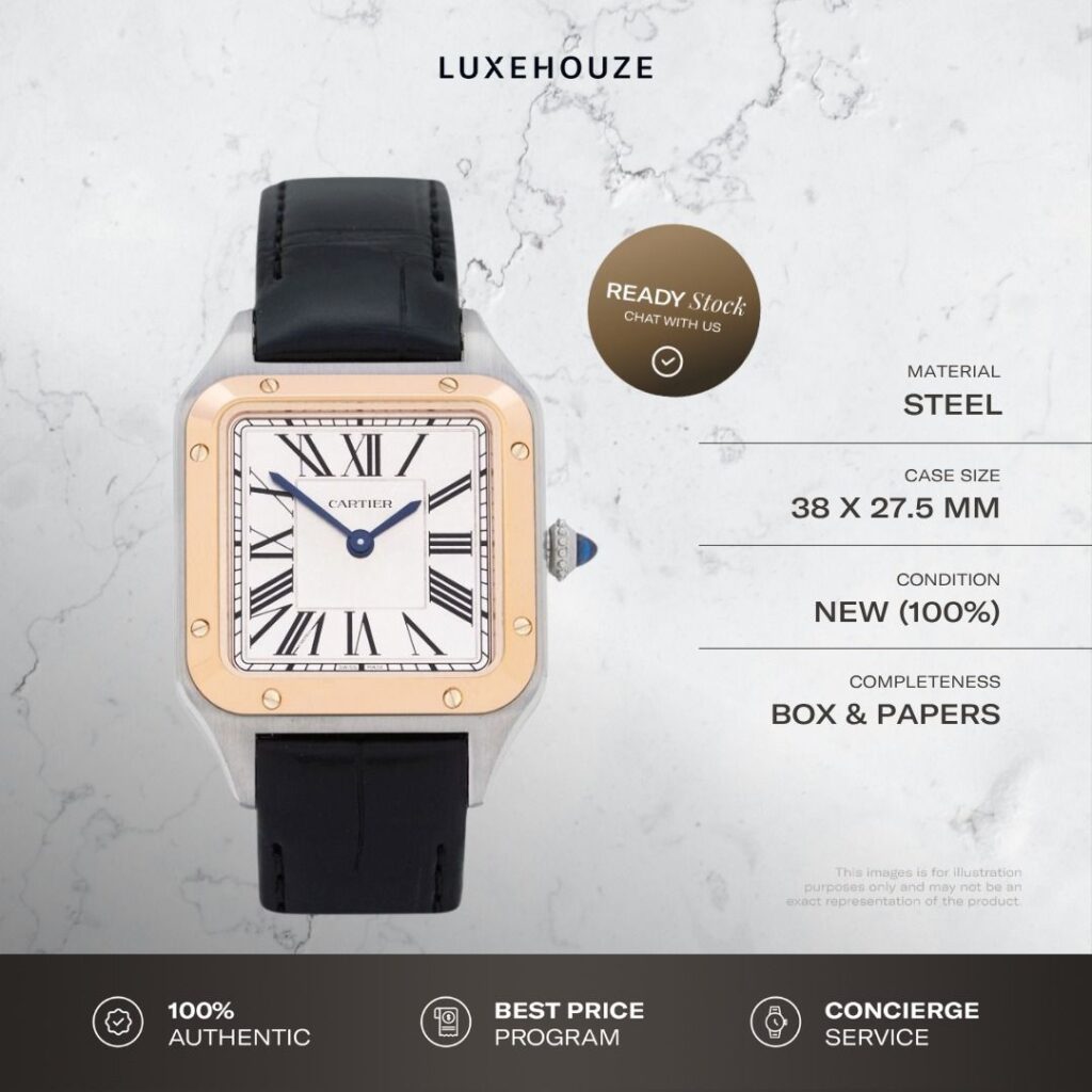 New Aug 2026 Cartier Santos Dumont Small W2SA0038 Silver