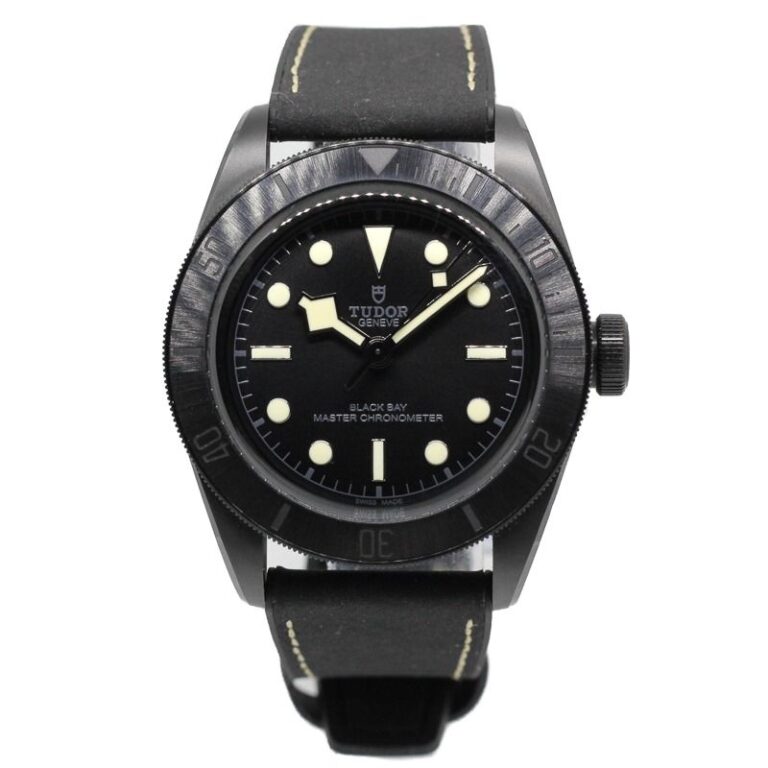 Tudor Black Bay Ceramic 79210CNU (May-22)